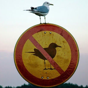 Meet your Posher, Melonie